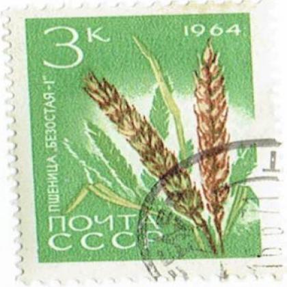 1964 NOYTA CCCP JAW COMMEMORATIVE STAMP WS 5