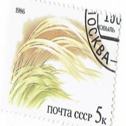 1986 RUSSIAN NOYTA CCCP 5K  STAMP WS 06