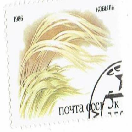 1986 RUSSIAN NOYTA CCCP 5K  STAMP WS 07