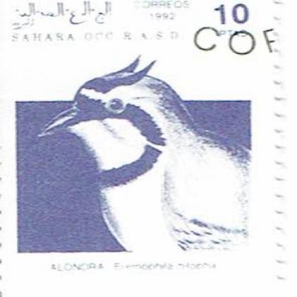1992 SAHARA OCC R A S D COMMEMORATIVE STAMP WS 5