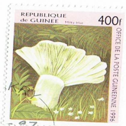 1996 OFFICE OF GUINEA  POST COMMEMORATIVE STAMP WS 5