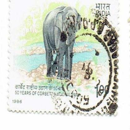 50YRS OF CORBET NATIONAL PARK COMMEMORATIVE STAMP CSB 1 (a)