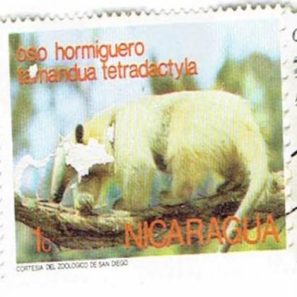 ANIMAL NICARGUA COMMEMORATIVE STAMPS WS 6