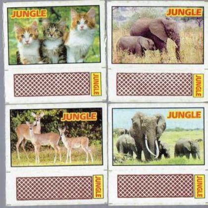 ANIMAL THEME MATCHBOX SET MB259