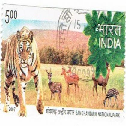 BANDHAVGARH NATIONAL PARK  BIG SIZE COMMEMORATIVE STAMP CSB 16