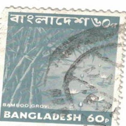 BANGLADESH 60 PAISA STAMP WS 07