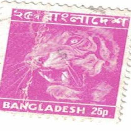 BANGLADESH SUNDERBAN BENGAL TIGER 25 PAISA STAMP WS 06