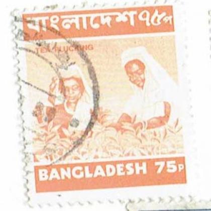 BANGLADESH TEA PLUCKING  COMMEMORATIVE STAMP WS 4