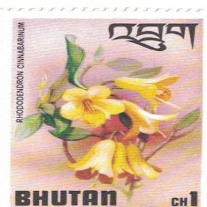 BHUTAN CINNABARINUM FOLWER THEME STAMP WS 09