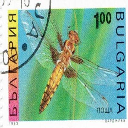 BULGARIA 100B INSECTS COMMEMORATIVE STAMP WS2