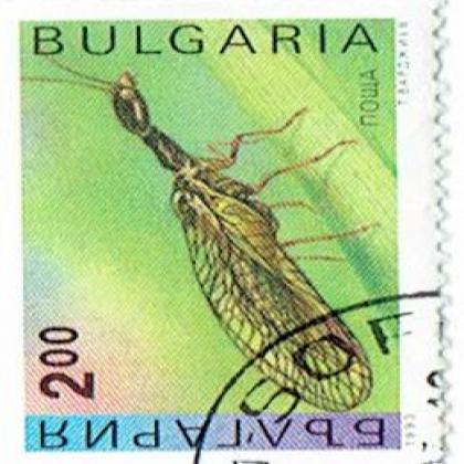 BULGARIA 200B INSECTS COMMEMORATIVE STAMP WS 8