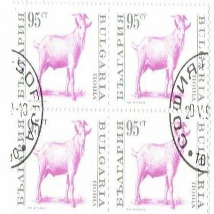 BULGARIA 95ct GOAT THEME BLOCK OF 4 STAMPS