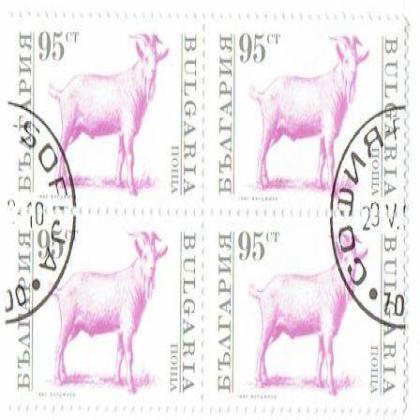 BULGARIA VILLAGE SHEEP  THEME BLOCK OF 4 STAMPS