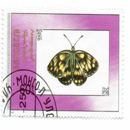 BUTTER FLY FEMALE  COMEMORATIVE STAMP WS 3