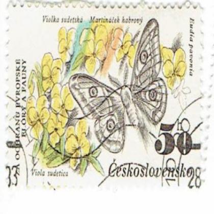BUTTER FLY FEMALE  COMMEMORATIVE STAMP WS 5