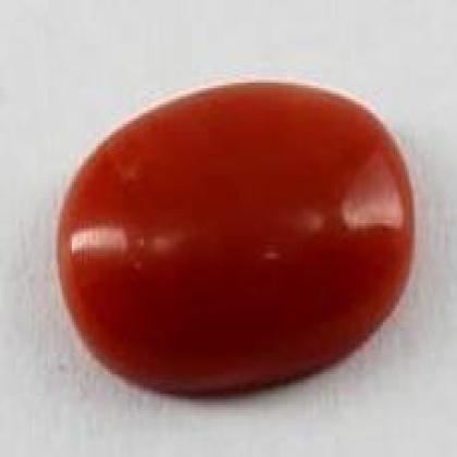 CERTIFIED CORAL MUNGA FOR MANGAL WT 7.45 ct