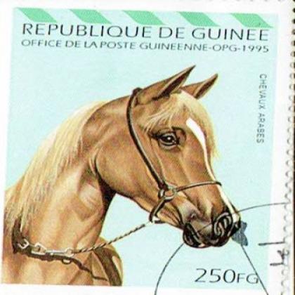 CHEVAUX HORSE COMMEMORATIVE STAMP WS 3