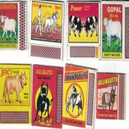 COW BULL THEME  MATCHBOX SET MB2224