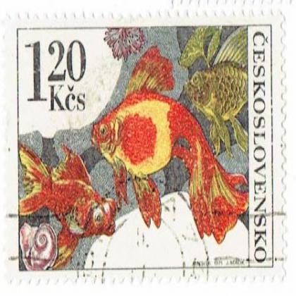 CZECHOSLOVAKIA  120 KCS GOLD FISH COMMEMORATIVE STAMP WS 3