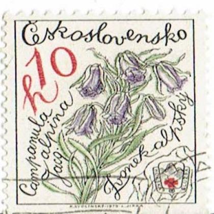 CZECHOSLOVAKIA CAMPONULA COMMEMORATIVE STAMP WS 7