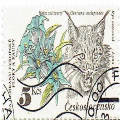 CZECHOSLOVAKIA WILD CAT COMMEMORATIVE STAMP WS 3