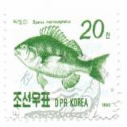 DPR KOREA FISH COMMEMORATIVE STAMP WS2