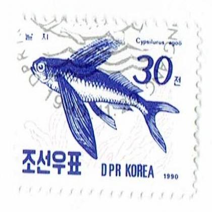 DPR KOREA FISH COMMEMORATIVE STAMP WS 4