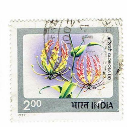 GLORIOSA LILY FLOWER COMMEMORATIVE STAMP CSB 9