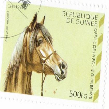 GUINEA 1995 ARABES HORSE ANIMAL COMMEMORATIVE STAMP WS 7