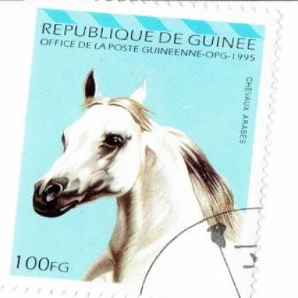 GUINEA 1995 CHEVAUN ARABES HORSE ANIMAL COMMEMORATIVE STAMP WS 7