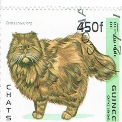 GUINEA 1996 CHATS CAT  COMMEMORATIVE STAMP WS 7
