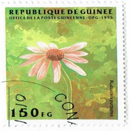 GUINEA RUDOCKIA FLOWER COMMEMORATIVE STAMP WS 3