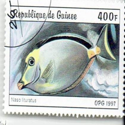 GUINEA SEA FISH  COMMEMORATIVE STAMP WS 6