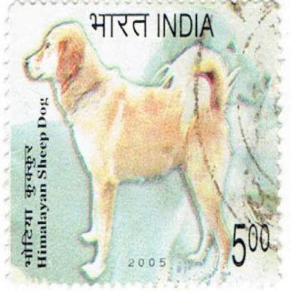 HIMALAYAN SHEEP DOG COMMEMORATIVE STAMP CSB16
