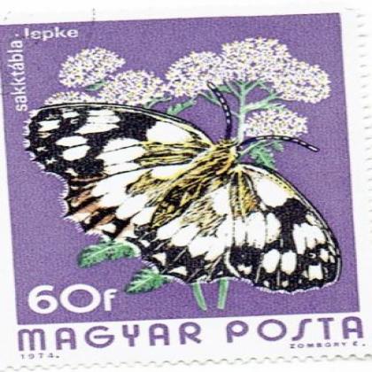 HUNGARY 1974 BUTTERFLY THEME BIG SIZE COMMEMORATIVE STAMP WS 3