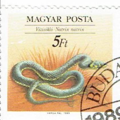 HUNGARY BEAUTIFUL SNAKE THEME STAMP WS 8