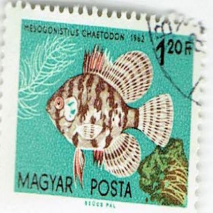 HUNGARY FISH COMMEMORATIVE STAMP WS 6