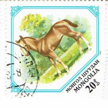 HUNGARY HORSE THEME ODD SHAPED BIG SIZE STAMP WS1