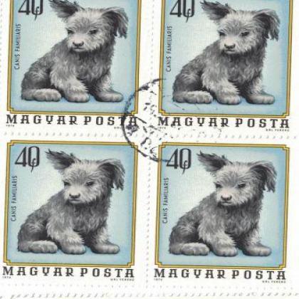HUNGARY POPPY DOG THEME STAMP BLOCK