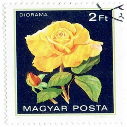 HUNGARY ROSE FLOWER 2FT MAGYAR POSTA COMMEMORATIVE STAMP WS 3