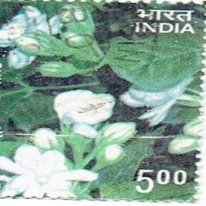 JASMINE FLOWER COMMEMORATIVE STAMP CSB 11