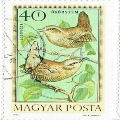 LEGIPOSTA OKORSZEM BIRD 1F COMMEMORATIVE STAMP WS 3