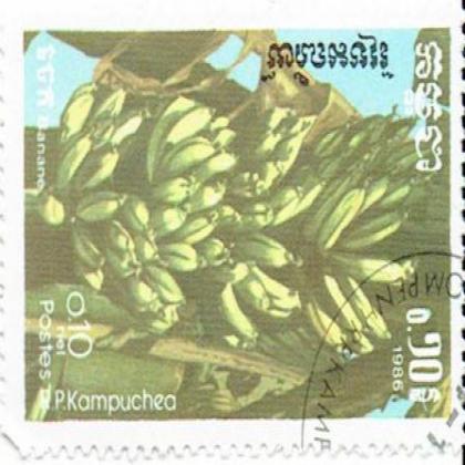 LAO 1986 BANANA FRUIT PKAMPUCHEA BIG SIZE STAMP WS3