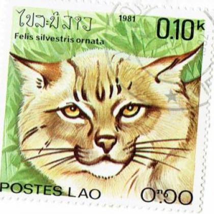 LAO SILVER CAT THEME BIG SIZE  COMMEMORATIVE STAMP WS 03