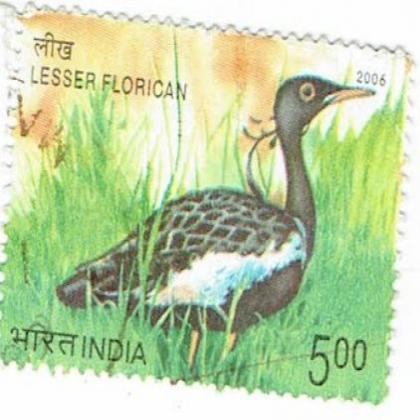 lesser florican bird COMMEMORATIVE STAMP CSB 16