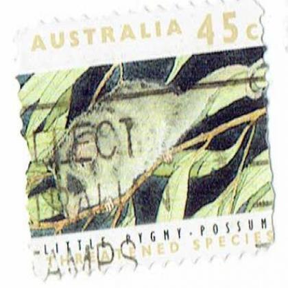 LITTLE RYGMY POSSUM COMMEMORATIVE STAMP WS 4