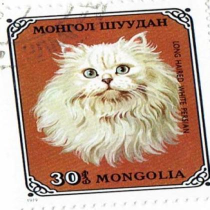 MANGOLIA 1979 CAT THEME STAMP WS8