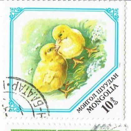 MANGOLIA CHICKEN  THEME SQUARE ODD SHAPED STAMP WS1