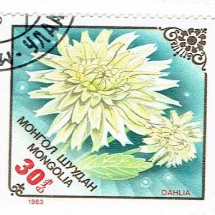 MANGOLIA DHALIA FLOWER THEME 30m SQUARE SHAPED STAMP WS1