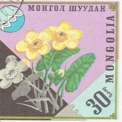 MANGOLIA FLOWER THEME 30m SQUARE SHAPED STAMP WS1